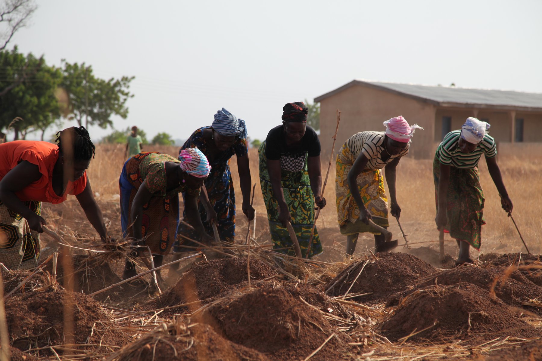 148,000 African agricultural cooperative members and farmers in solidarity