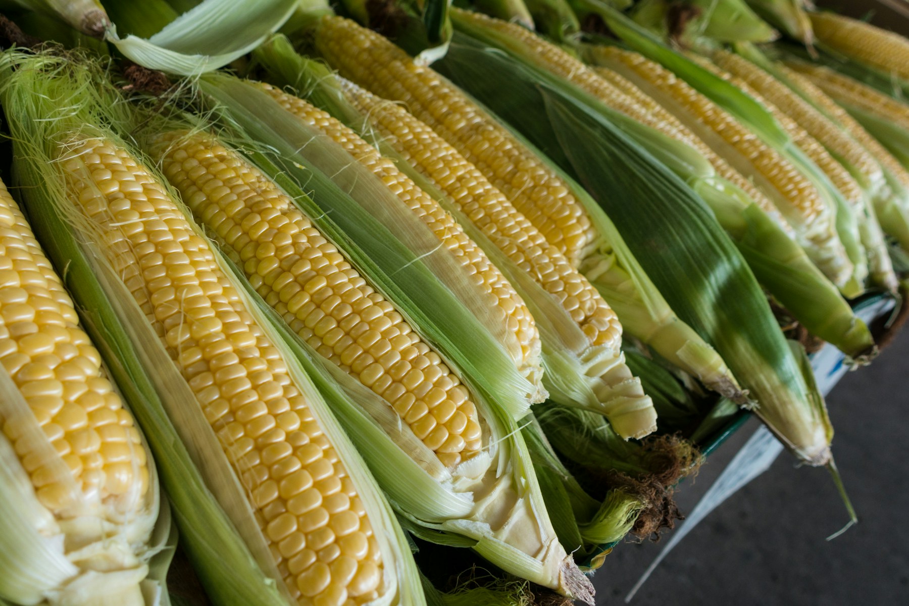 Ejura Premium Sun-Dried Yellow Maize (Grade A)